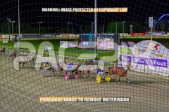 2026_PACEPIX_GP02102026_Race7_ImStealthy_WIN_WEB-8