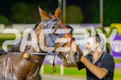 2025_PACEPIX_GP09052025_RACE8_AcushlaMachree_WIN_WEB-11
