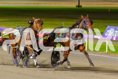 2025_PACEPIX_GP09052025_RACE8_AcushlaMachree_WIN_WEB-6