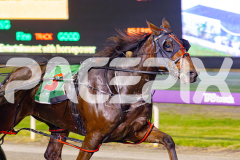 2025_PACEPIX_GP09052025_RACE8_AcushlaMachree_WIN_WEB-7