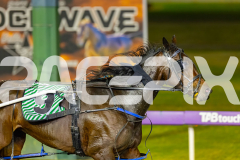 2026_PACEPIX_GP05062026_RACE8_AmericanEyes_WIN_WEB-11