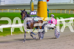 2026_PACEPIX_GP05062026_RACE8_AmericanEyes_WIN_WEB-12