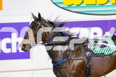 2026_PACEPIX_GP05062026_RACE8_AmericanEyes_WIN_WEB-13