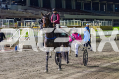 2026_PACEPIX_GP05062026_RACE8_AmericanEyes_WIN_WEB-15