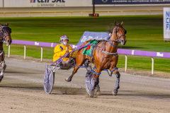 2025_PACEPIX_GP07112025_RACE8_ArionRock_WIN_WEB-10