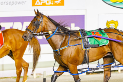 2025_PACEPIX_GP07112025_RACE8_ArionRock_WIN_WEB-13