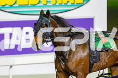 2026_PACEPIX_GP19062026_Race8_ArtIdeal_WIN_WEB-17