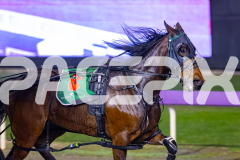 2026_PACEPIX_GP19062026_Race8_ArtIdeal_WIN_WEB-8