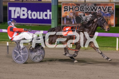 Barbados_26-06-2026_WIN_Gloucester-Park_8__07