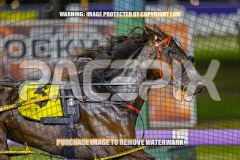 2026_PACEPIX_GP30102026_RACE8_BizzarePackage_WIN_WEB-10
