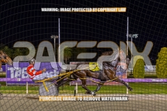 2026_PACEPIX_GP30102026_RACE8_BizzarePackage_WIN_WEB-11