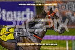 2026_PACEPIX_GP30102026_RACE8_BizzarePackage_WIN_WEB-26