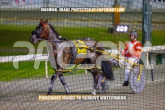 2026_PACEPIX_GP30102026_RACE8_BizzarePackage_WIN_WEB-28