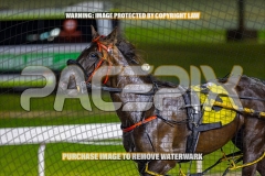 2026_PACEPIX_GP30102026_RACE8_BizzarePackage_WIN_WEB-29