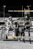2026_PACEPIX_GP30102026_RACE8_BizzarePackage_WIN_WEB-31