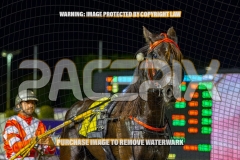 2026_PACEPIX_GP30102026_RACE8_BizzarePackage_WIN_WEB-32