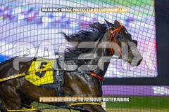 2026_PACEPIX_GP30102026_RACE8_BizzarePackage_WIN_WEB-9