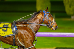 2025_PACEPIX_GP15072025_Race8_BeachCaptain_WIN_WEB-15