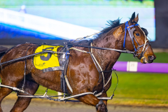 2025_PACEPIX_GP15072025_Race8_BeachCaptain_WIN_WEB-3
