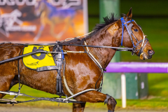 2025_PACEPIX_GP15072025_Race8_BeachCaptain_WIN_WEB-4