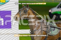 2026_PACEPIX_GP18092026_RACE8_BeatTheBank_WIN_WEB-14