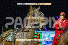 2026_PACEPIX_GP18092026_RACE8_BeatTheBank_WIN_WEB-18