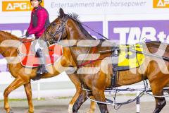2025_PACEPIX_GP29112025_Race8_BeatTheBank_WIN_WEB-12