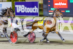 2025_PACEPIX_GP29112025_Race8_BeatTheBank_WIN_WEB-5