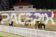 2025_PACEPIX_GP29042025_Race8_BeeBeeBerok_WIN_WEB-1