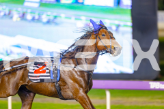 2025_PACEPIX_GP29042025_Race8_BeeBeeBerok_WIN_WEB-10