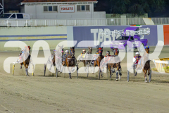 2025_PACEPIX_GP29042025_Race8_BeeBeeBerok_WIN_WEB-11