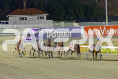 2025_PACEPIX_GP29042025_Race8_BeeBeeBerok_WIN_WEB-12