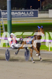 2025_PACEPIX_GP29042025_Race8_BeeBeeBerok_WIN_WEB-14