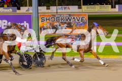 2025_PACEPIX_GP29042025_Race8_BeeBeeBerok_WIN_WEB-18