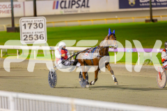 2025_PACEPIX_GP29042025_Race8_BeeBeeBerok_WIN_WEB-2