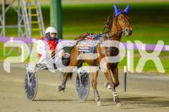 2025_PACEPIX_GP29042025_Race8_BeeBeeBerok_WIN_WEB-21