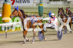 2025_PACEPIX_GP29042025_Race8_BeeBeeBerok_WIN_WEB-23