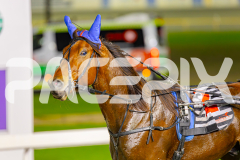 2025_PACEPIX_GP29042025_Race8_BeeBeeBerok_WIN_WEB-25