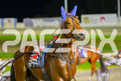 2025_PACEPIX_GP29042025_Race8_BeeBeeBerok_WIN_WEB-27