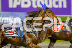 2025_PACEPIX_GP29042025_Race8_BeeBeeBerok_WIN_WEB-3