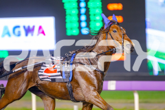 2025_PACEPIX_GP29042025_Race8_BeeBeeBerok_WIN_WEB-6