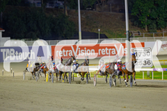 2025_PACEPIX_GP29042025_Race8_BeeBeeBerok_WIN_WEB-7