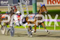 2025_PACEPIX_GP29042025_Race8_BeeBeeBerok_WIN_WEB-8