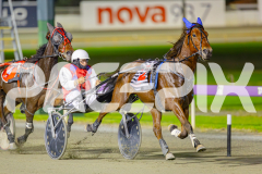 2025_PACEPIX_GP29042025_Race8_BeeBeeBerok_WIN_WEB-9