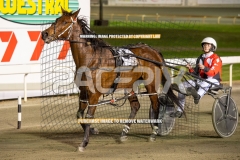 Beetastic_25-09-2026_WIN_Gloucester-Park_8__04