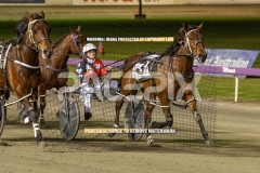 Beetastic_25-09-2026_WIN_Gloucester-Park_8__05