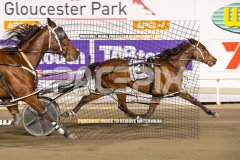 Beetastic_25-09-2026_WIN_Gloucester-Park_8__06