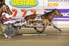 Beetastic_25-09-2026_WIN_Gloucester-Park_8__07