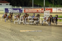 Beetastic_25-09-2026_WIN_Gloucester-Park_8__12