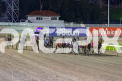 2026_PACEPIX_GP15052026_RACE8_BetTheRiver_WIN_WEB-2